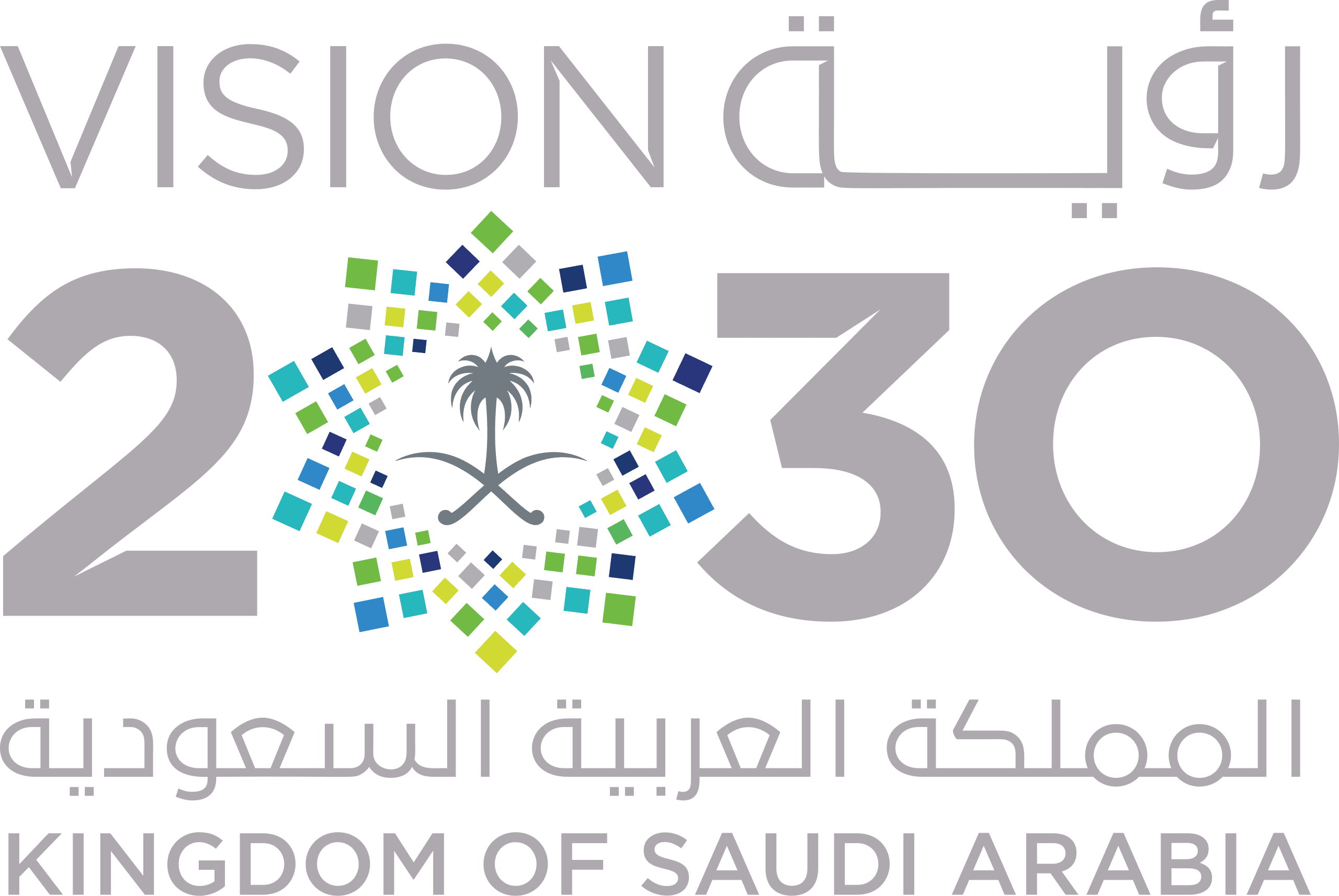 رؤية المملكة 2030